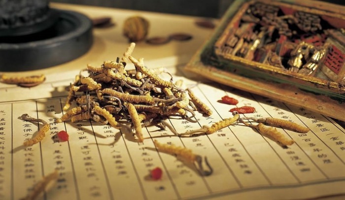 传统中医 Traditional Chinese Medicine